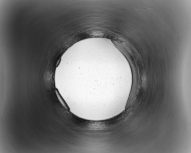 X0000088020521200706081444