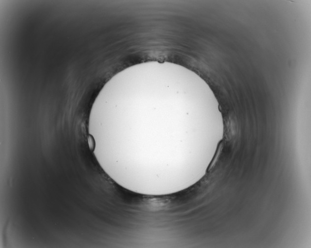 X0000088020522200706081444
