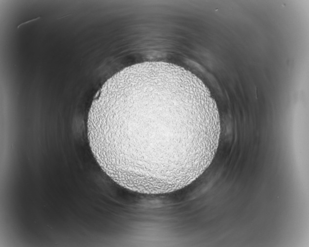 X0000088020523200706081444