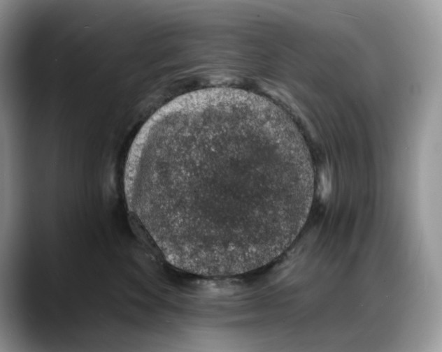 X0000088020524200706081444