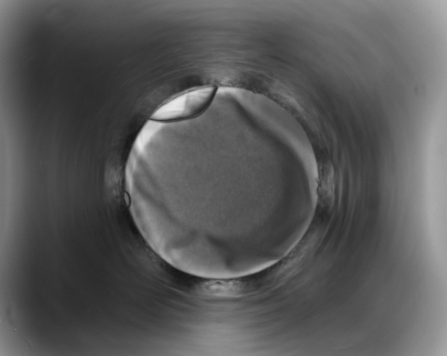 X0000088020526200706081444