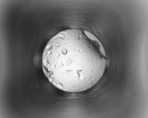 X0000088020527200706081444