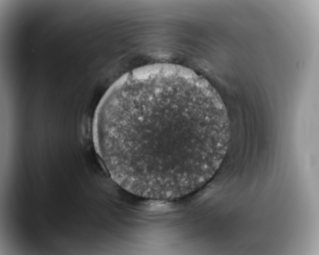 X0000088020528200706081444