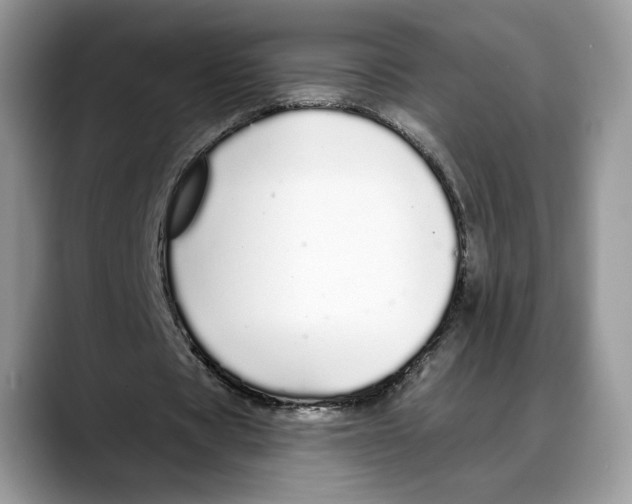 X0000088020529200706081443