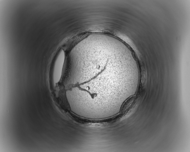 X0000088020530200706081443