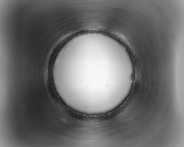 X0000088020531200706081443