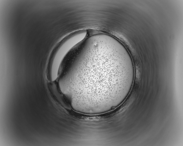 X0000088020532200706081443