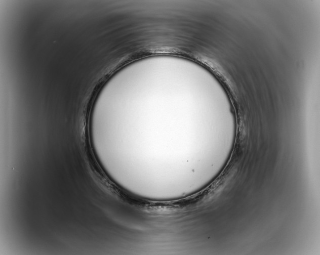 X0000088020533200706081443
