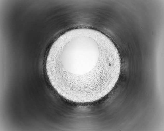 X0000088020534200706081443