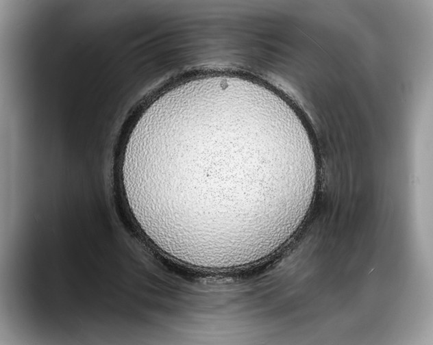 X0000088020535200706081443