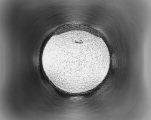 X0000088020536200706081443