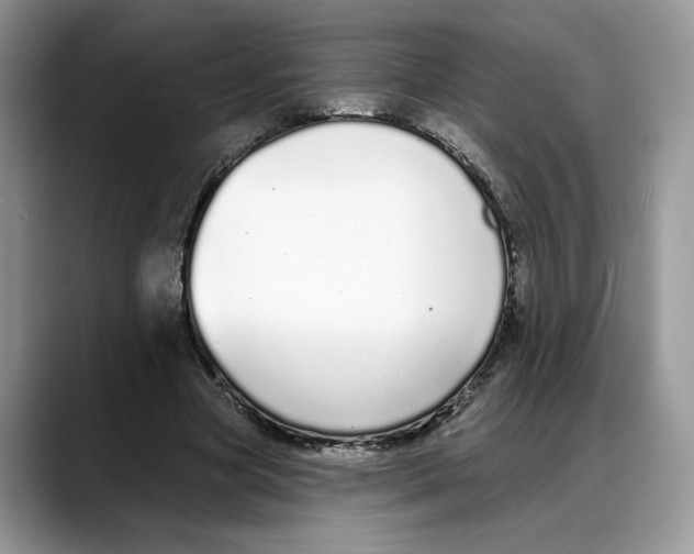 X0000088020537200706081443