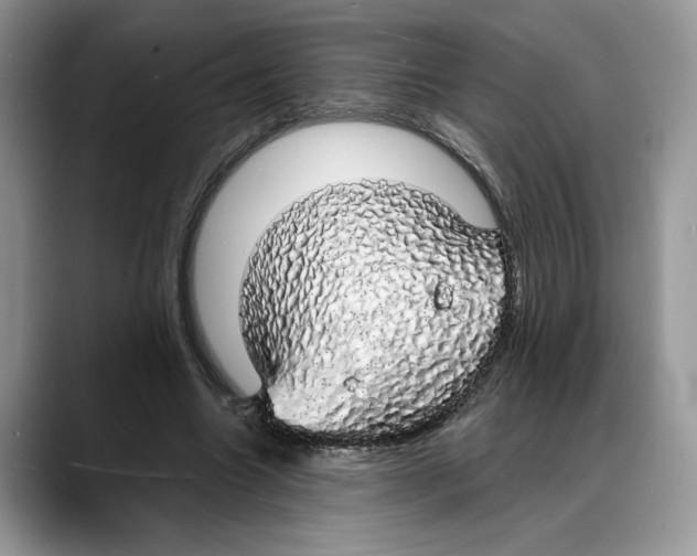 X0000088020538200706081443