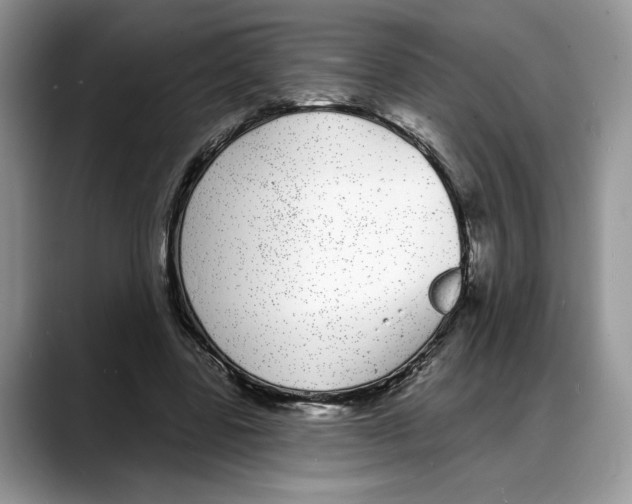 X0000088020539200706081443