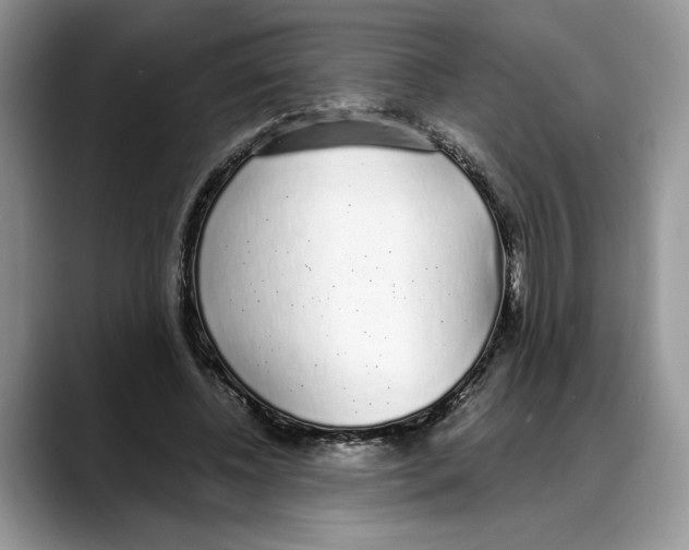 X0000088020540200706081443