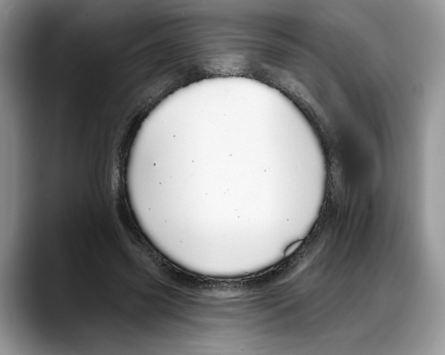 X0000088020541200706081443
