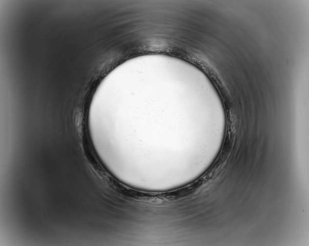 X0000088020542200706081443