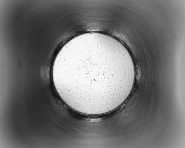 X0000088020543200706081443