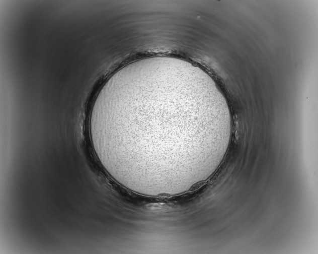 X0000088020544200706081443