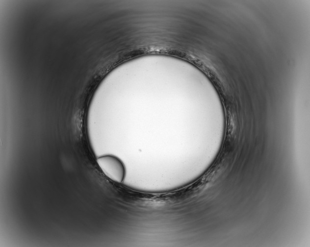 X0000088020545200706081443