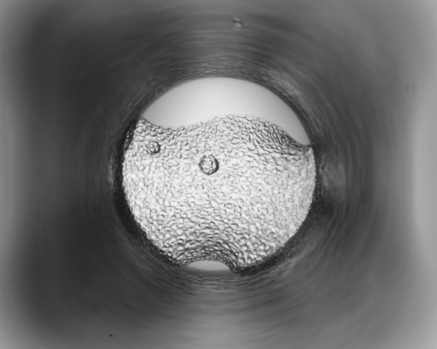 X0000088020546200706081443