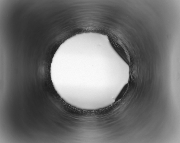 X0000088020547200706081443