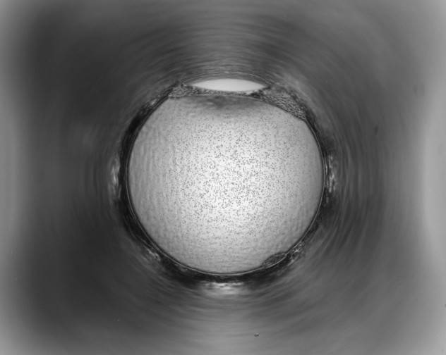 X0000088020548200706081443
