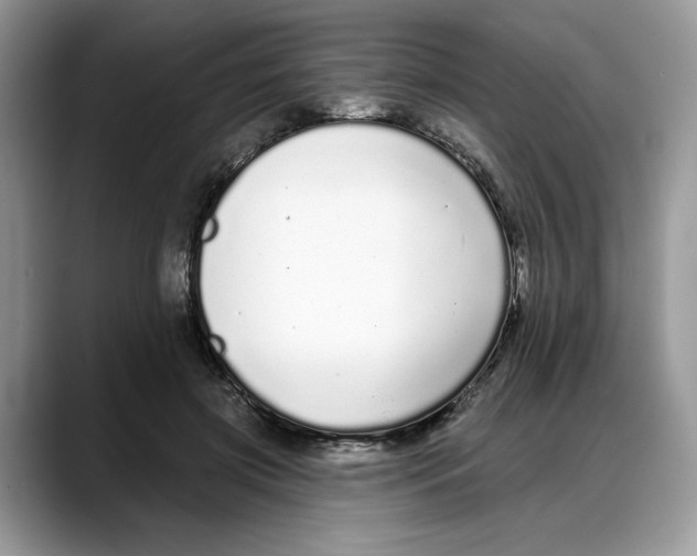 X0000088020549200706081443