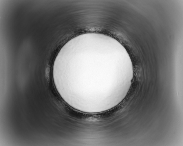 X0000088020550200706081443