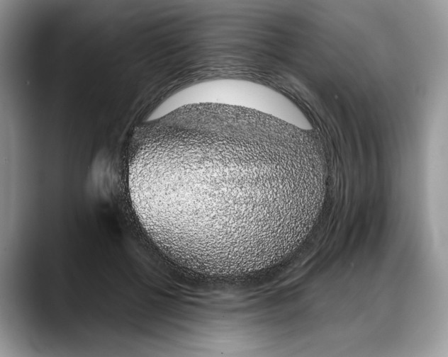 X0000088020552200706081443