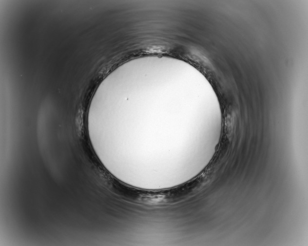 X0000088020554200706081443