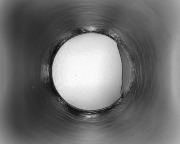 X0000088020555200706081443