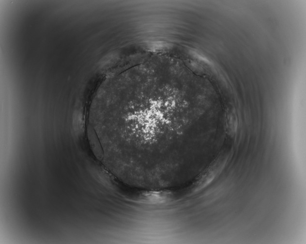 X0000088020558200706081443