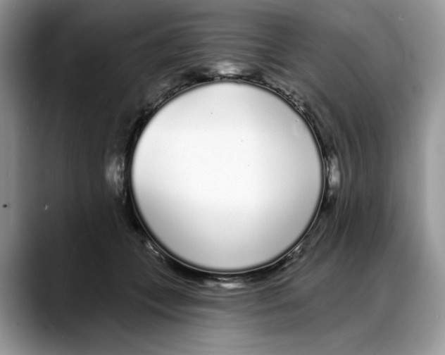 X0000088020559200706081443