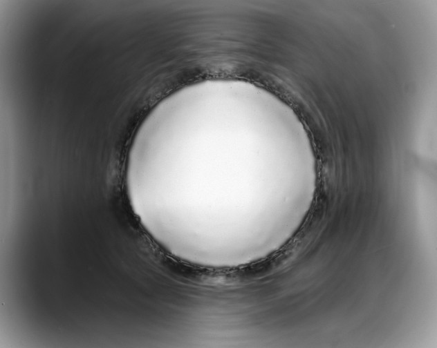 X0000088020561200706081443