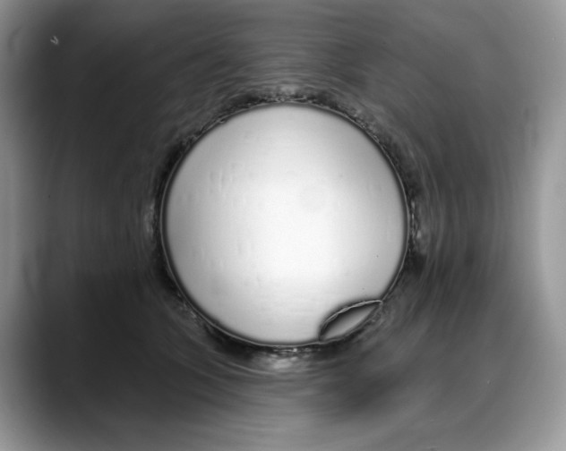 X0000088020563200706081443