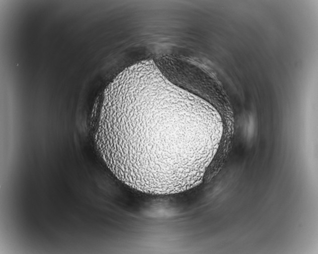 X0000088020566200706081443