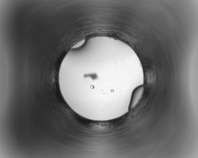 X0000088020567200706081443