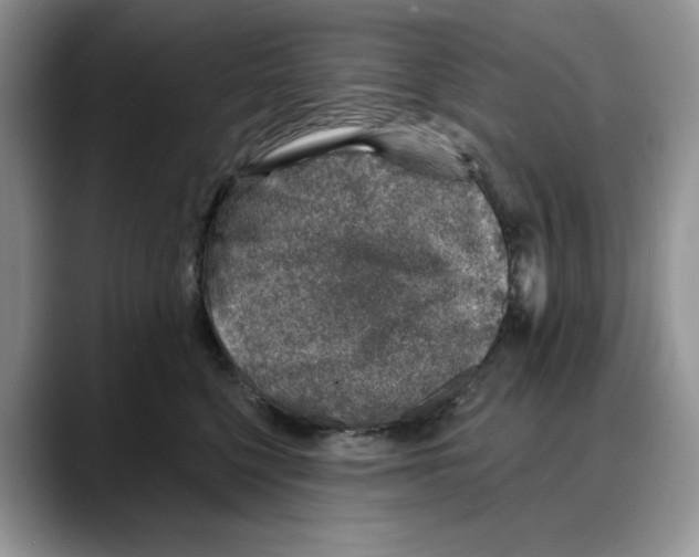 X0000088020568200706081444