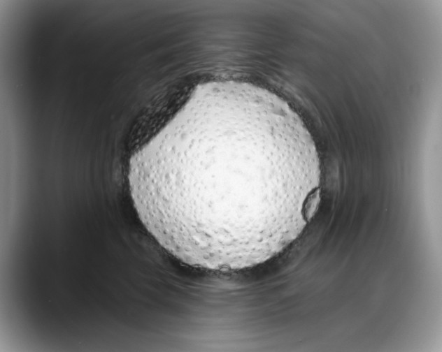 X0000088020569200706081444