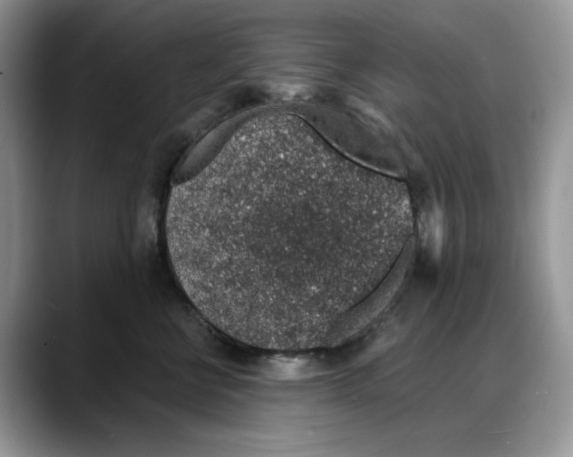 X0000088020570200706081444