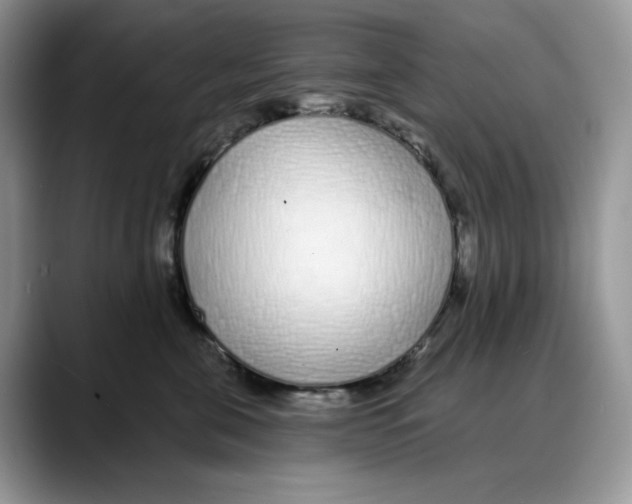 X0000088020571200706081444