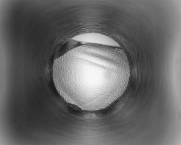 X0000088020572200706081444