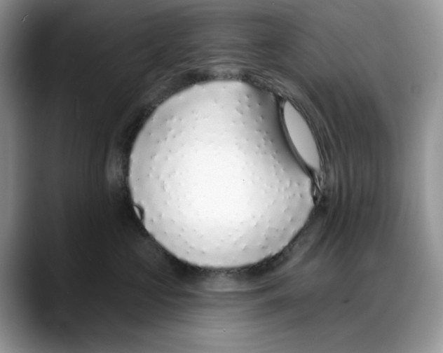 X0000088020573200706081444