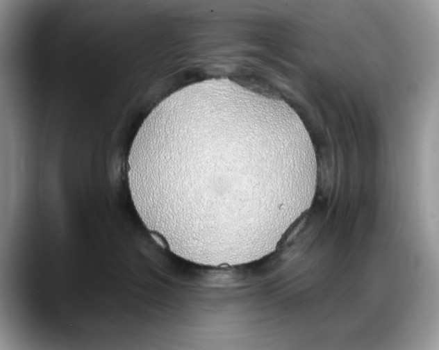 X0000088020574200706081444