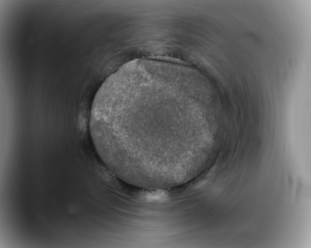 X0000088020576200706081444