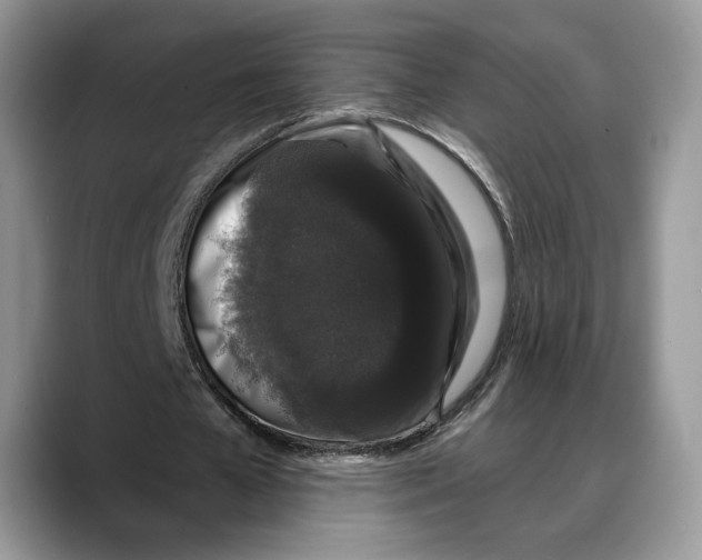X0000088020577200706081443
