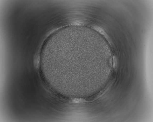 X0000088020579200706081443