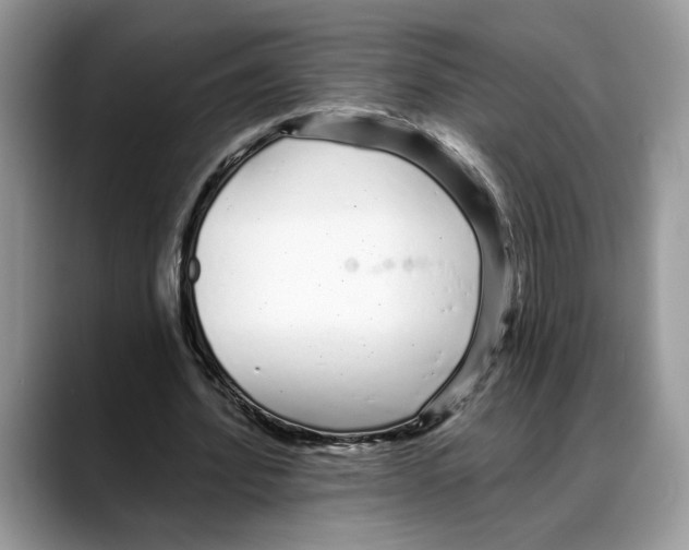 X0000088020580200706081443