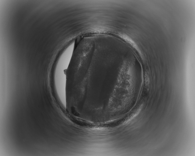 X0000088020581200706081443